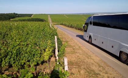 Winery Tours